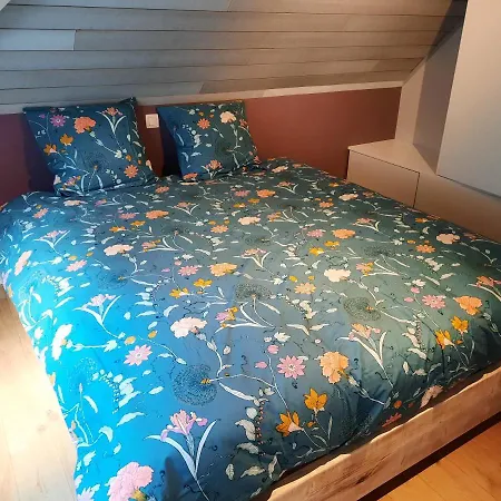 Superbe Appart' Bois De Fagne Apartament Malmedy